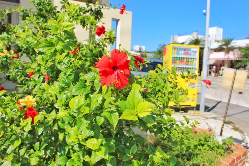 Guest House Route 6 โยมิตัน ภายนอก รูปภาพ